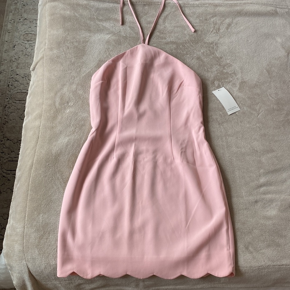 NWT Pale Pink Mini Dress